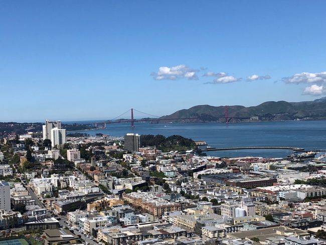 View from Coit Tower 