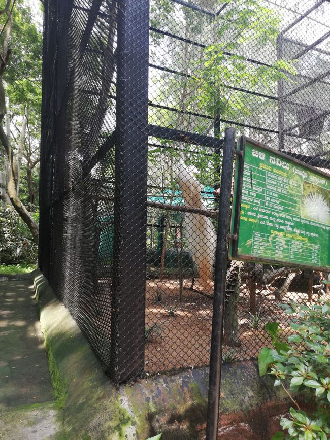 Banaghata Zoo a Safari