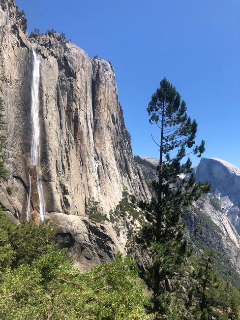 Tag 34 - YNP 5/5 Yosemite Falls