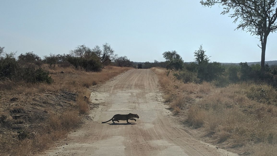 17 uru: Kruger NP uksanx sur uksan yatxatapxta