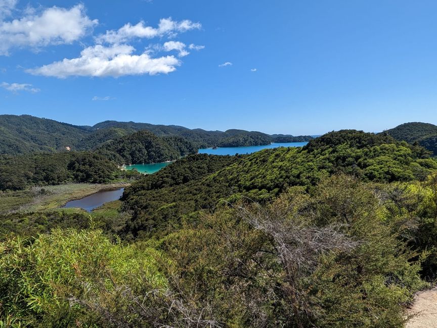 09. Februar Abel Tasman National Park