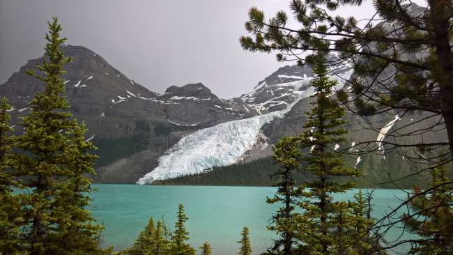 Berg Lake Glacier