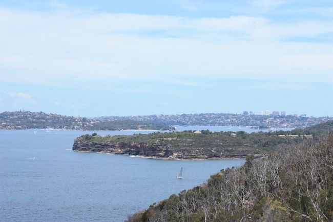 View of Manly
