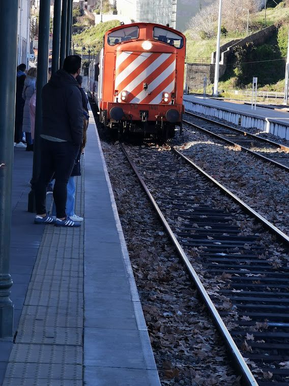 The train with the diesel locomotive arrives