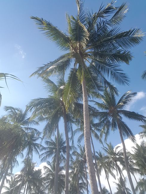 Koh Samui (Chaweng Beach) - Thailand