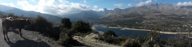 #7 Van centraal Corsica naar de westkust: Corte -> Porto