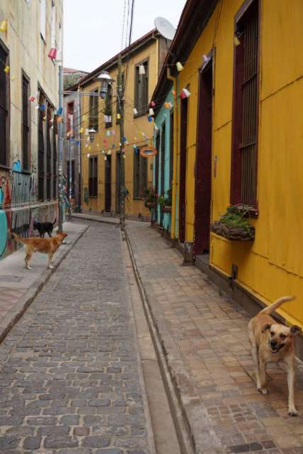 Colorful decorated alleyways
