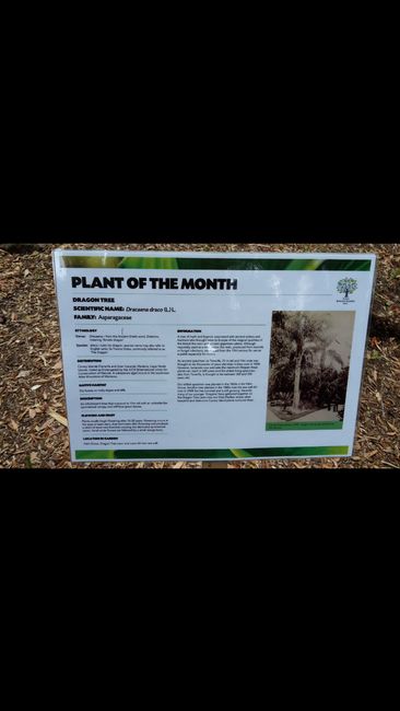 Spaziergang durch Sydney und geführte Tour durch den botanischen Garten