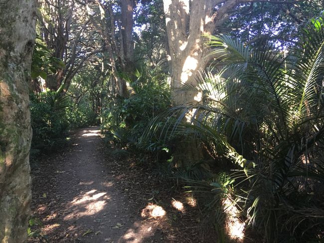 Randonnées en pleine nature.