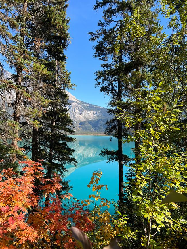 Prenez 5 parcs nationaux Yoho et Banff
