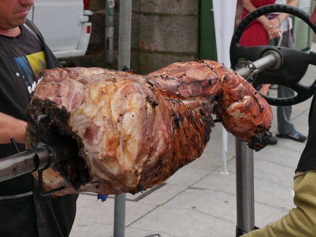 Grilled suckling pig