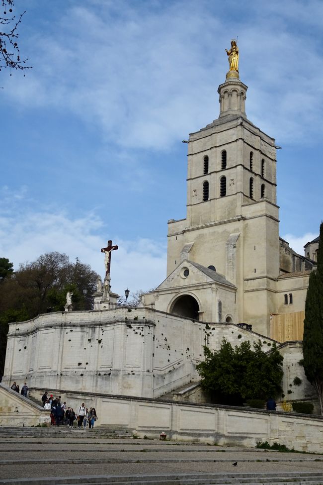 Kathedrale Avignon