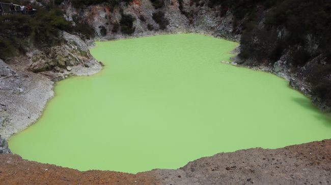 Tag 9 Wai-O-Tapu Thermal Wonderland