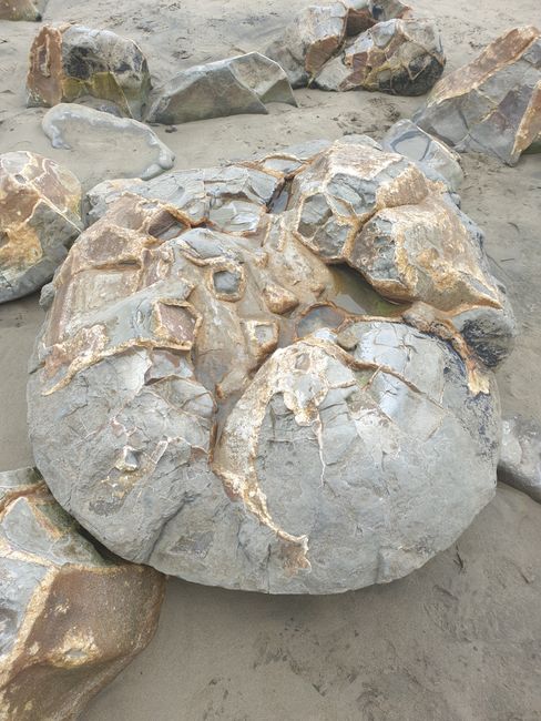 Moeraki Boulders