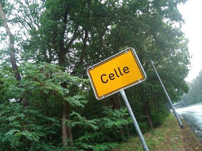 Ja, Celle... 