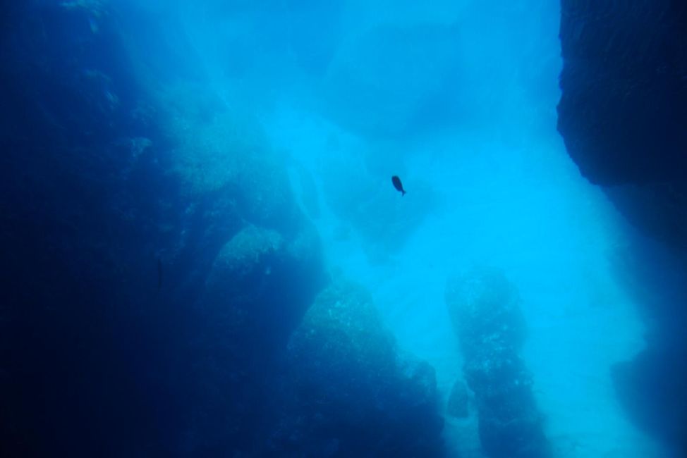 Die alte Frau und das Meer