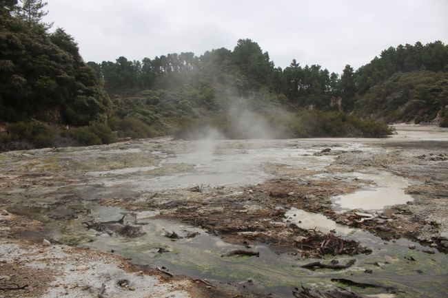 Geothermalgebiet Wai-O-Tapu