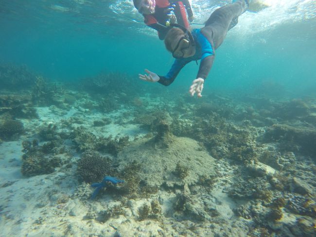 Ningaloo Reef to Exmouth