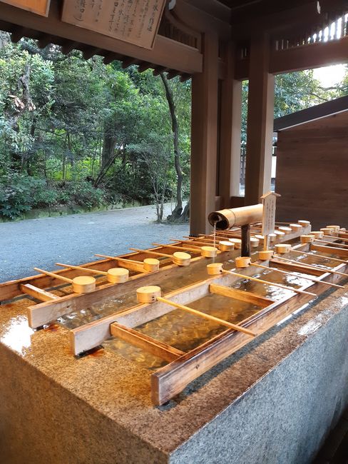 the Meiji Shrine