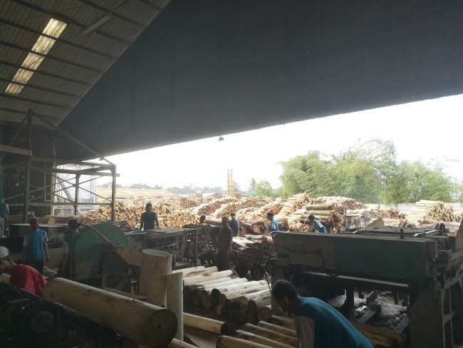 Veneer production and timber storage in the background
