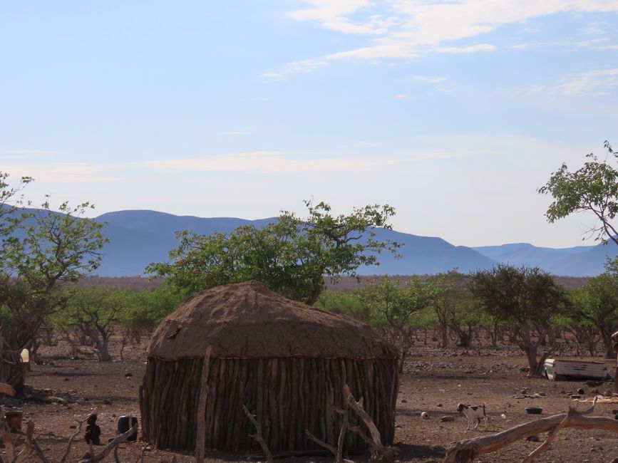 the Himba people mainly live in mud houses made from natural materials in the Kunene region