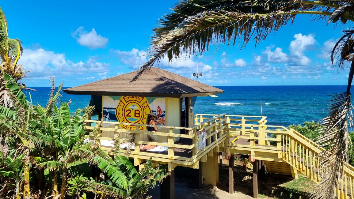 Hawaii 2022 - Part 3: Maui