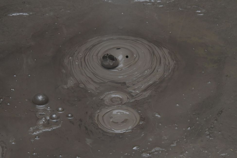 Whakarewarewa Thermal Area - Boiling mud