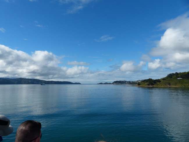 On the ferry just before Picton