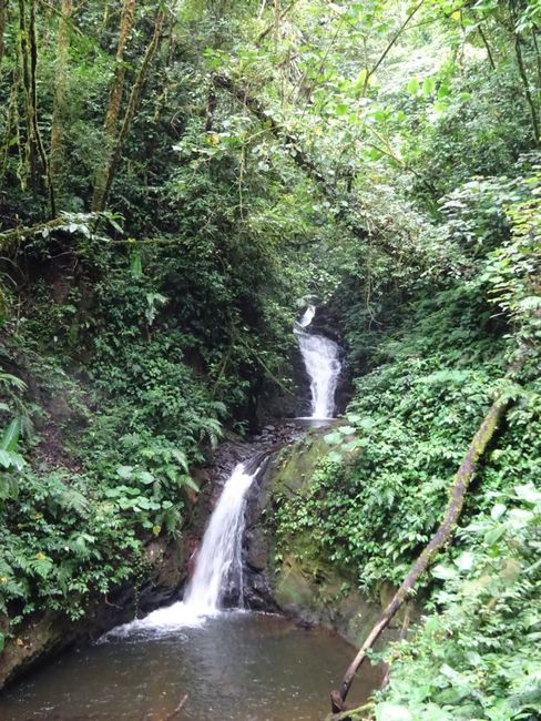 Nationalpark Monteverde