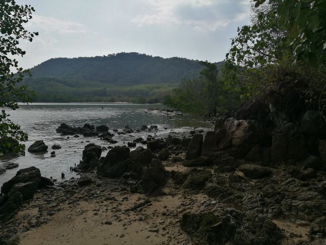 View of the Mangrove Beach.