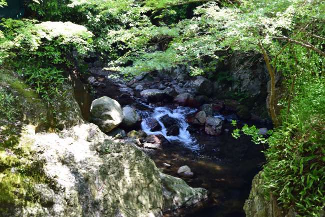 The mountain stream