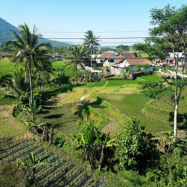 West Java - Indonesia