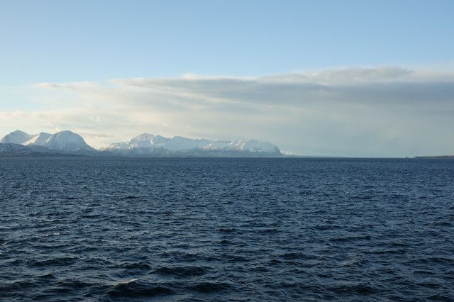 04-02-2022: C meýilnamasy we Arktika tegelek çokundyrylmagy