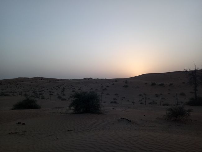 Desert with sunset