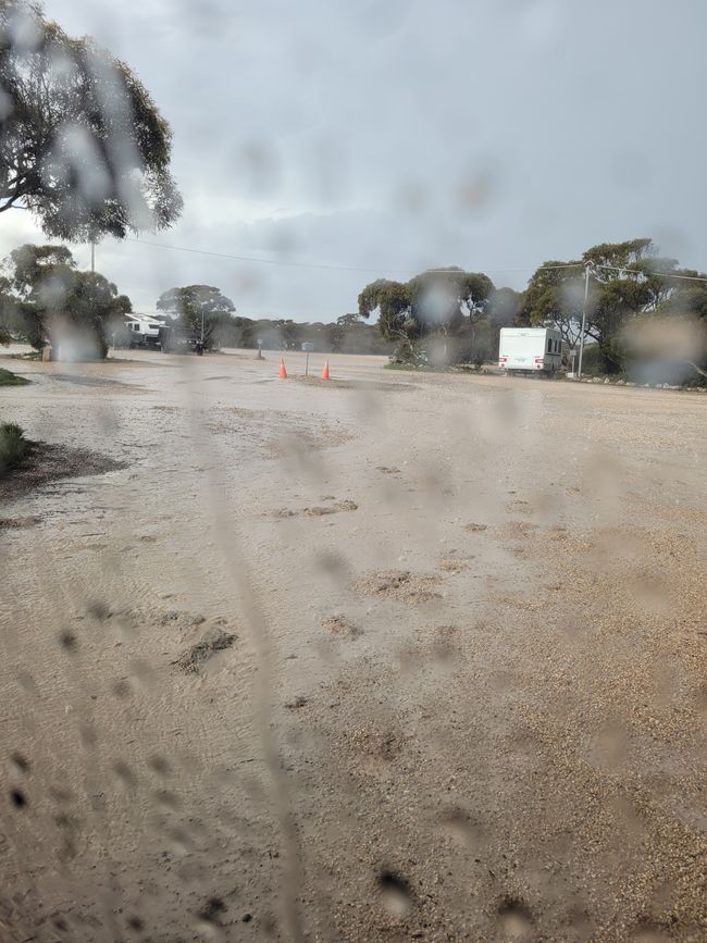 Eucla campground is a little lake after the rain - Nullarbor is a very dry area...