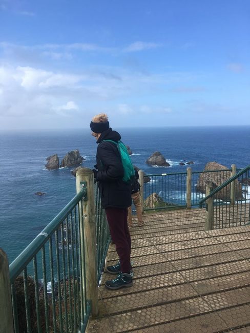 Nugget Point and Curio Bay