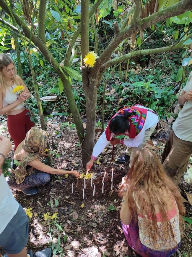 Cacao ceremony in the jungle