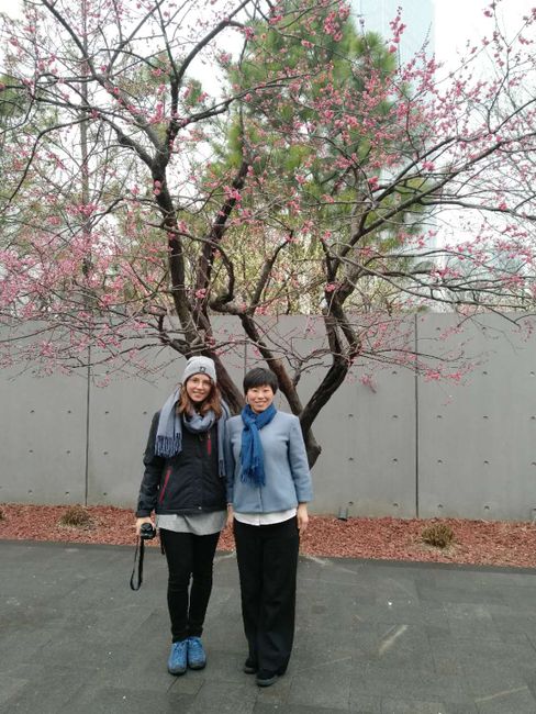 Violet und ich im Park. Viele schöne blühende Bäume. Ein Vorheschmack auf Japan 🇯🇵 