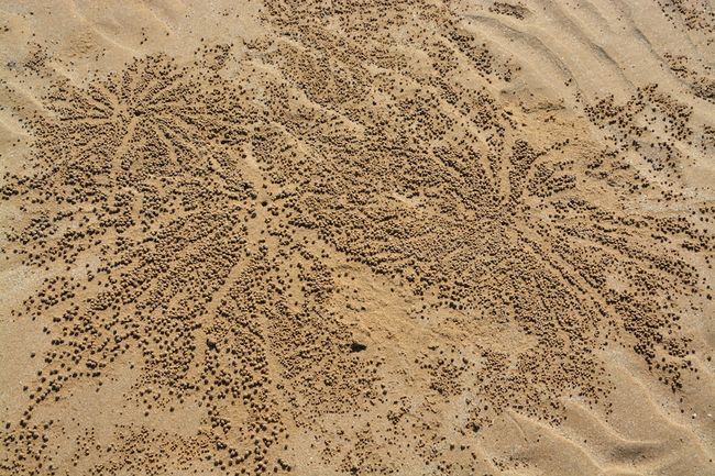 Kunstwerke im Sand