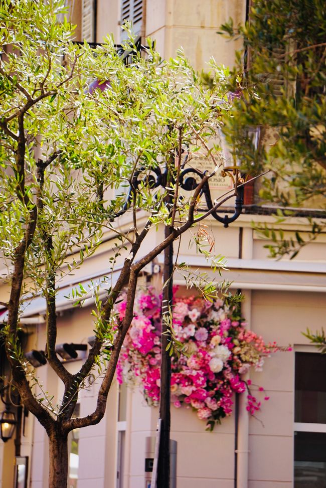 Getting to know nice Nice