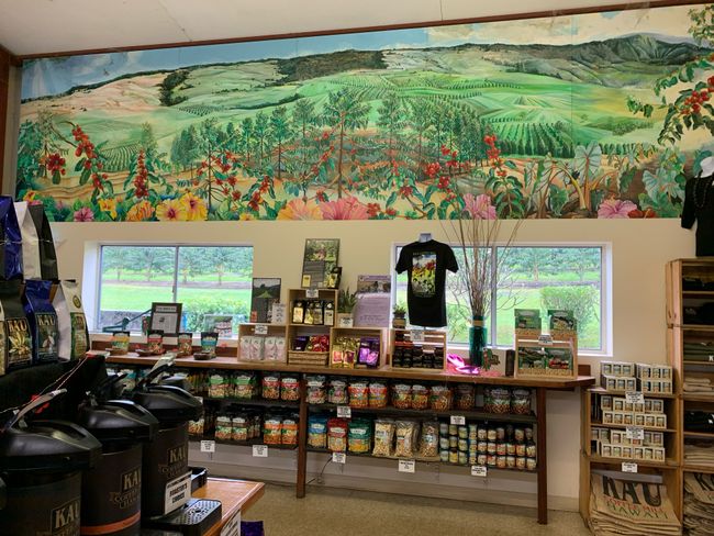 KAU Coffeemill and plantation