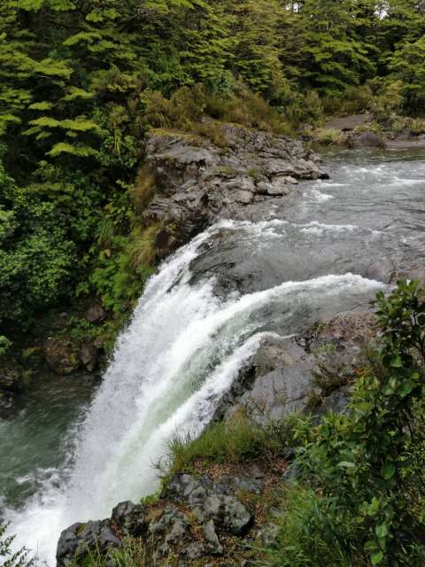 Tawhai Falls 1