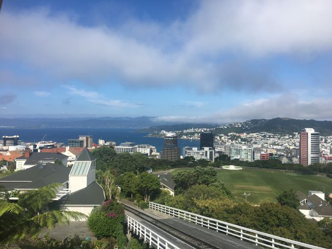 Wellington - Excursions