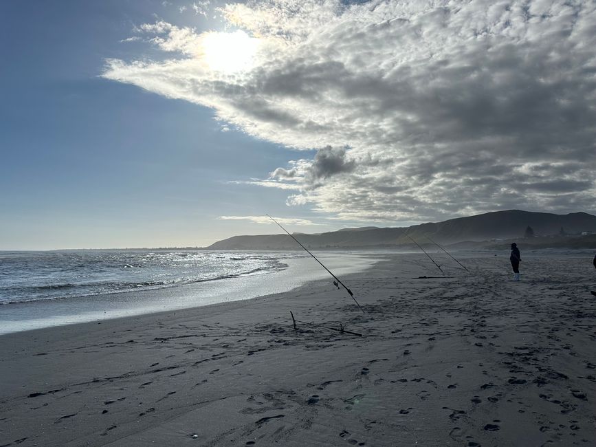 Hermanus ♥️