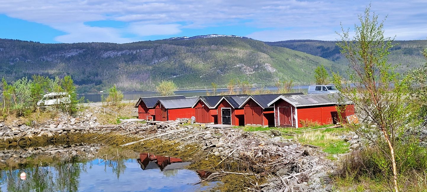 Norway Trip May 26-June 17, 2022/ May 29