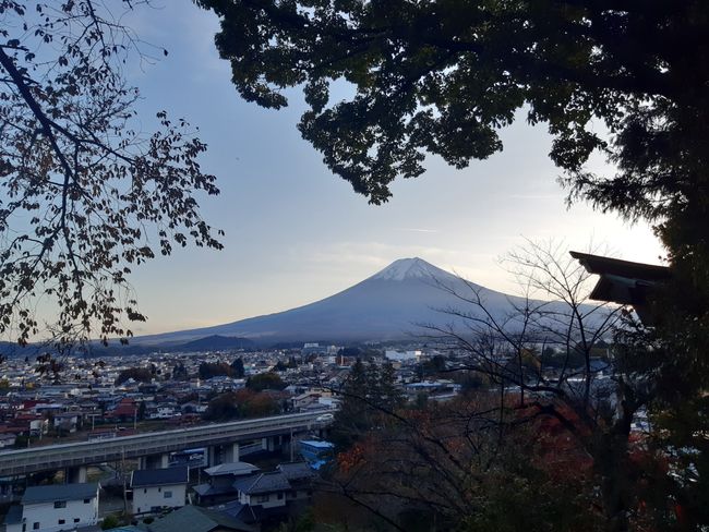Fuji #34