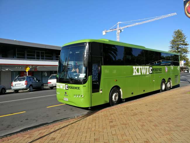 Bus von Kiwi Experience 