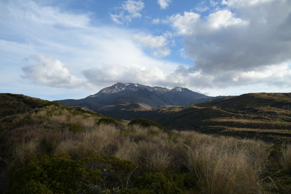 Rückweg von den Tama Lakes: Mt.Ruapehu