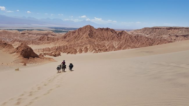 The driest place on Earth! - San Pedro de Atacama