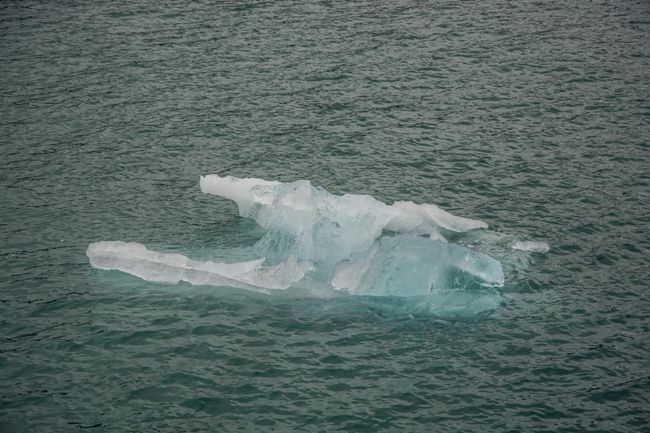 Tage 147 bis 148: Eisberg direkt voraus – Fahrt zum Columbia Gletscher und das Ende der Pipeline in Valdez